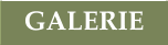 Galerie
